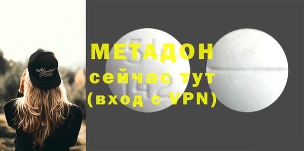 молекула духа Богданович